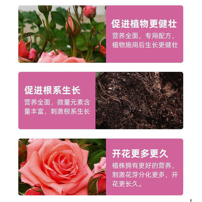 廠家供應八個老頭月季專用營養液防黃葉不開花催花爆花月季玫瑰
