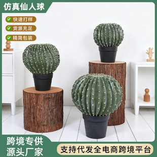 ������������������Ꭷɳ��ֲ��ɳĮ�Gֲ�������쾰�T���b[��