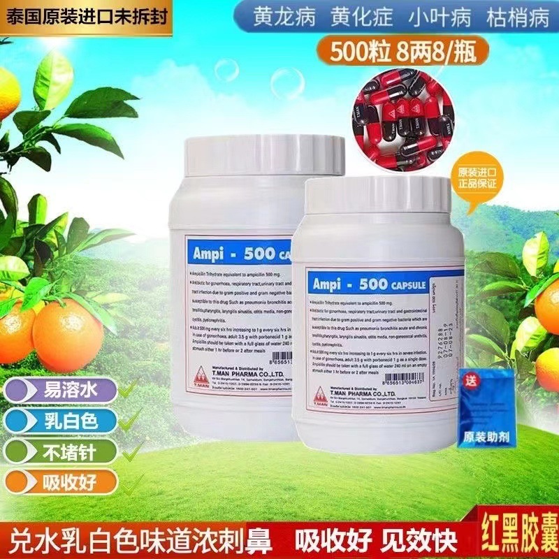 泰国进口红黑胶囊黄龙病黄化病专用药盐酸四环素柑橘脐橙打针输液