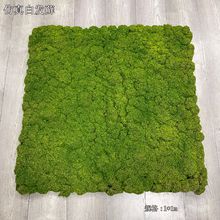 ̦\Ƥֲë̦ƺֲ҃Ⱦ^GƤ