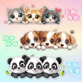 车身贴;其他汽车外饰;保险杠