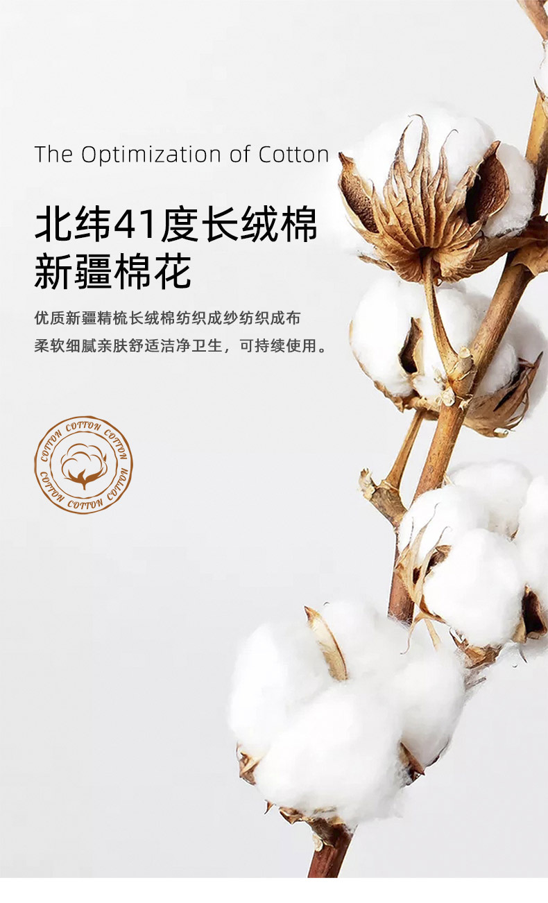 A类-原棉大豆被_04.jpg