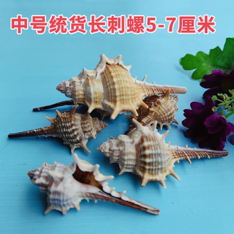 MEITU_20250403_093631068