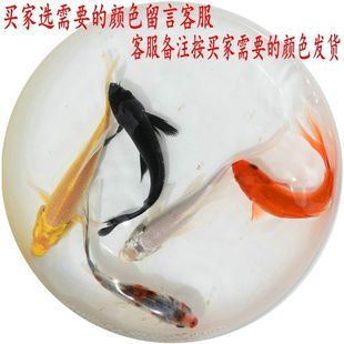 �ݽ��~���w�^�p�~С���~��ˮ�~�\���\�a�~�絭ˮ�~С���~һ�����l