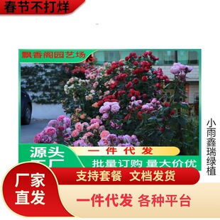 һ�����l��1��6���硿�Nޱ�����ٱ��¼��ش�����ֲ���ļ��_����