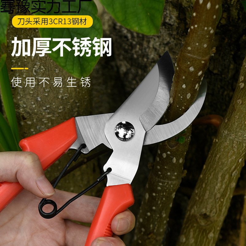 剪枝剪刀园林花艺修剪树枝剪刀果树剪刀粗枝剪园艺剪子盆栽工具