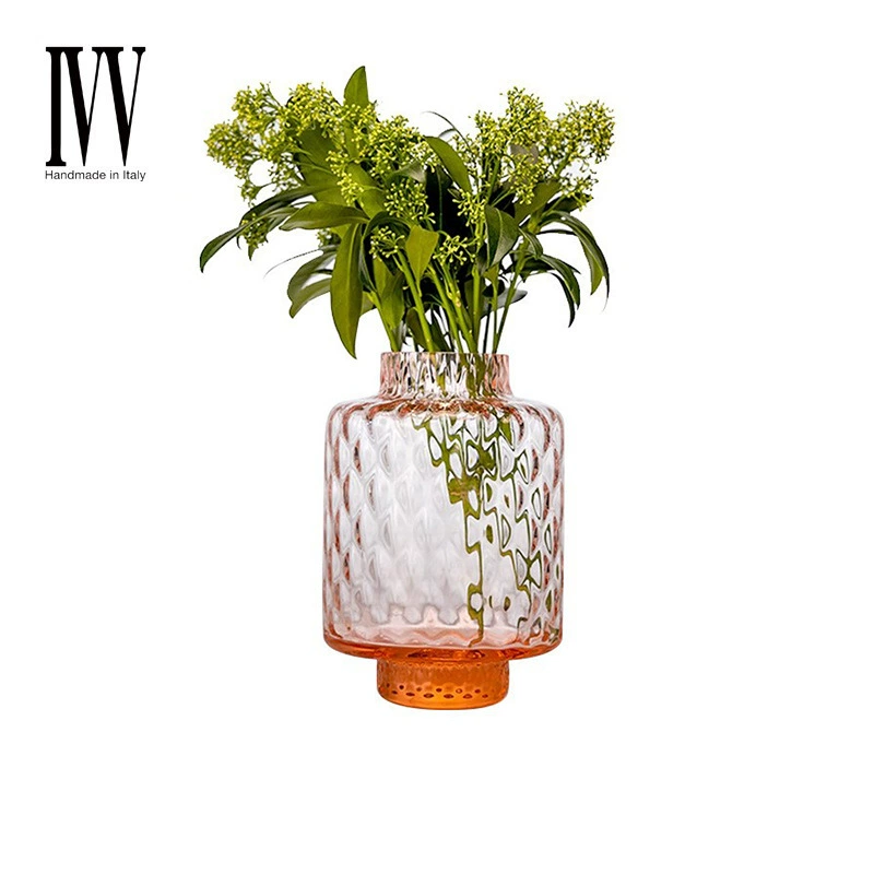 Италия IVV ваза украшение гостиной цветочная композиция стекло прозрачная скандинавская креативная минималистская водная композиция большая