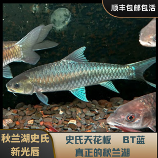 ���m��Ұʷ�{���_ʷ���¹ⴽ���^Ұʷ���_�~���ڱ�ɽ�Lˮ�~�^�p�~