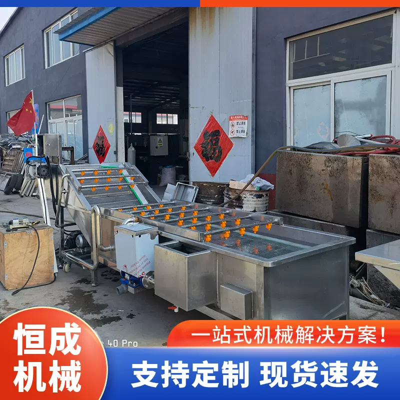 果蔬气泡清洗机全自动喷淋中草药清洗设备海带清洗脱盐机器