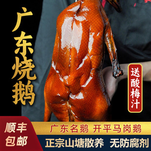 ���ڏV�����Z��ֻ��Vʽ���Z�V�|�خa���؟��Z���Z��ʳ��հ��b