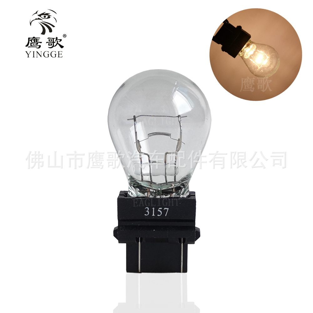 3157 All plastic head with light picture Chinese LOGO.jpg