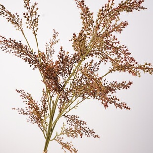 ���滨 3֦�������ɻ�֦ ��ĭ��ɫ�Ҿӿ͏d��c�zӰ�����bٻ�