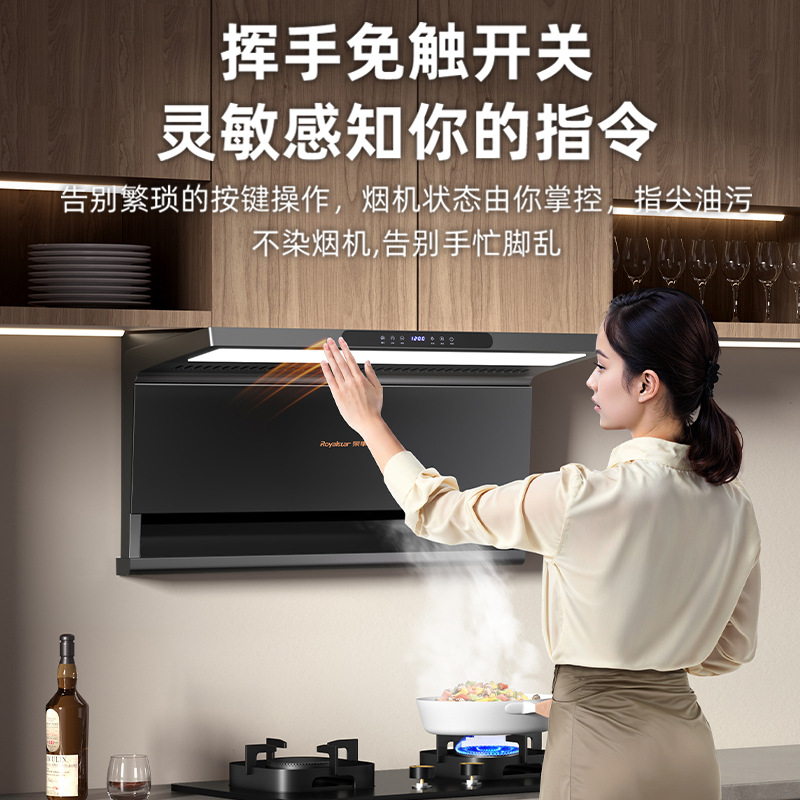 Mayorista Rongshida gran aspirador doméstico nuevo lado superior doble aspirador cocina 7 tipo pequeño aspirador