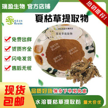 瑞盈现货供应 夏枯草提取物 比例萃取 水溶夏枯草粉1kg装量大价优