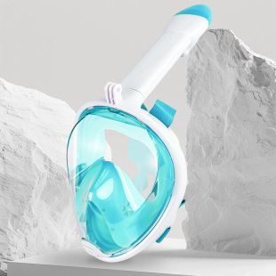 Factory Direct Sales Diving Mask for Adults and Children Full Dry Snorkeling Mask Full Face Swimming Respirator Mask Anti-Fog