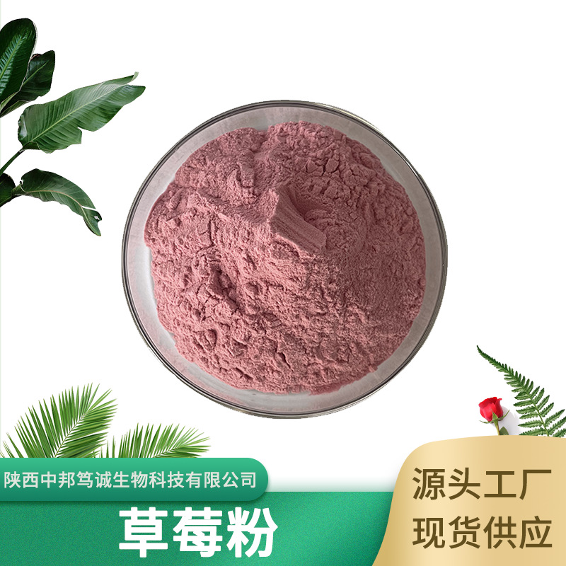 草莓粉 喷雾干燥草莓粉 草莓粉 草莓汁粉 草莓果粉 水溶草莓粉