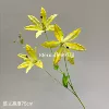 Golden bell lily