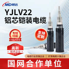 定制YJLV22/YJLV铝芯电缆1/2/3/4芯10/35/50/70/150平方电力电缆