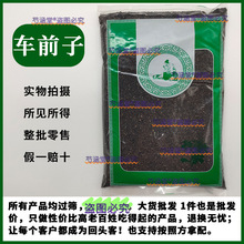 车前子中药材小药仙正品野生新鲜干车前草子茶泡水搭盐车前子籽粉