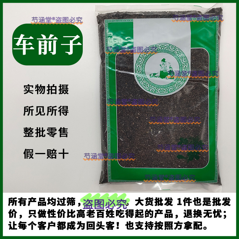 车前子中药材小药仙正品野生新鲜干车前草子茶泡水搭盐车前子籽粉
