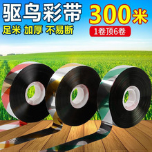 �s�B��B���B��������B�����r���ڼ����̨�O����˲ʎ��W�⎧��