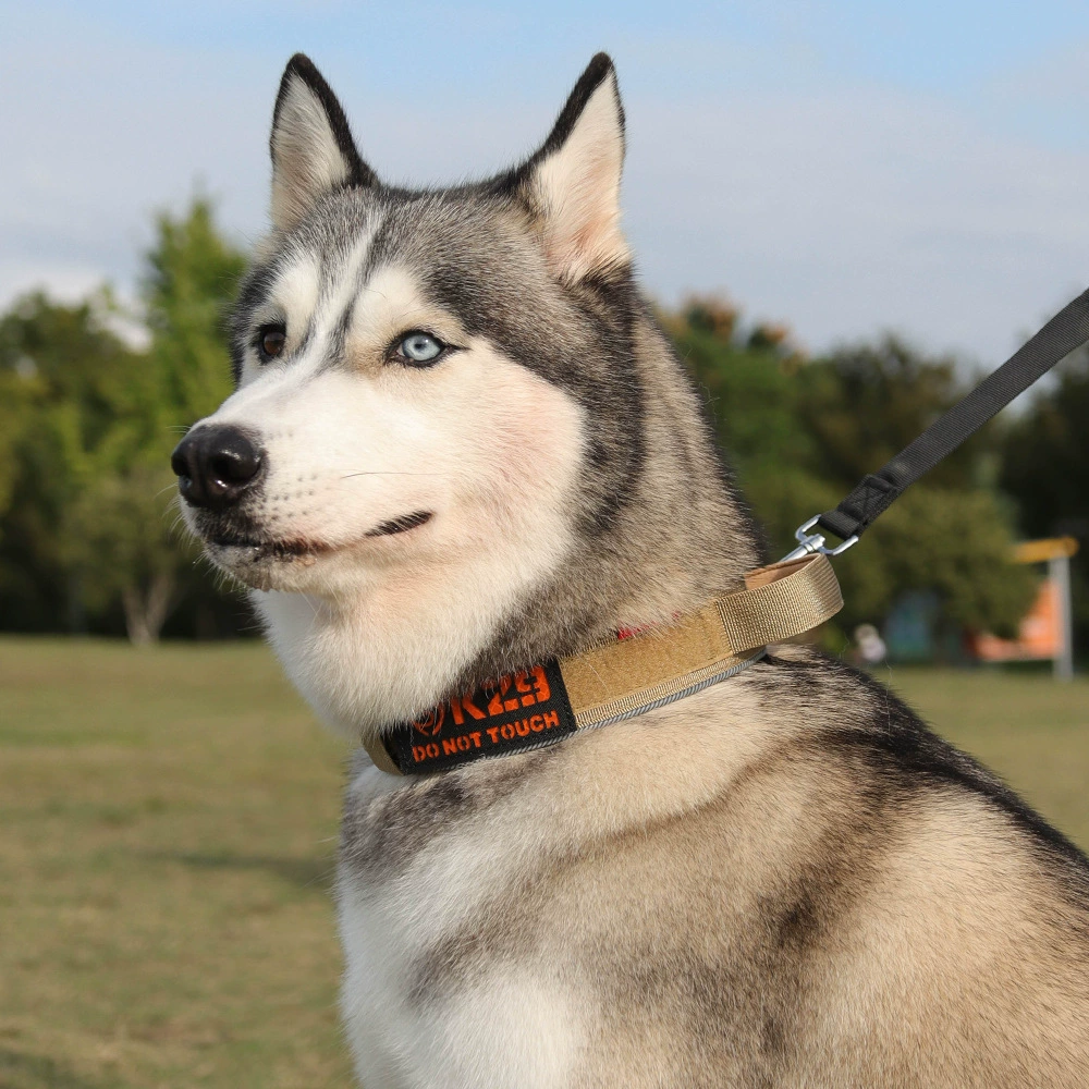 Tactics travel retroreflective choker for training