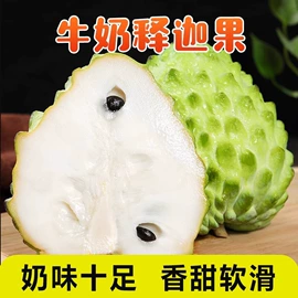 西式糕点;饼干;膨化