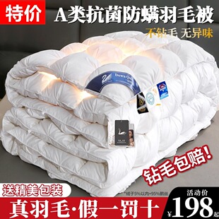 Special Offer Thickeneded Warm Winter Quilt Core Non-95 White Goose down Quilt Hotel Single Duck down Quilt Spring & Fall Cotton Quilt