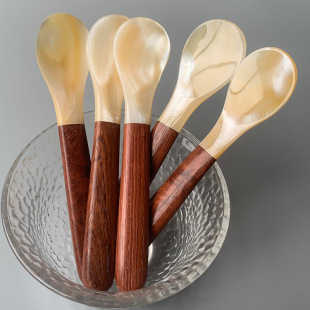 Natural shell spoon factory wholesale handmade pearl sea clam shell caviar Vietnam wooden handle shell spoon