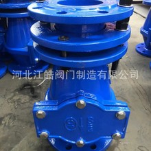 ˮ���^�V��DN300ˮ����s�^�V����ī�T�F�^�V�����P䓞V�W