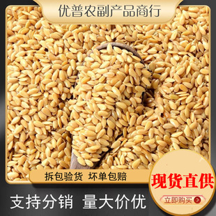 �����r�ҁ�������؛���������S�������ѳ������с����Ӻ�����