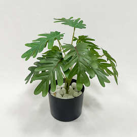 B1级阻燃防火植物 绿植仿真春芋盆栽  室内商场酒店工程 装饰仿真