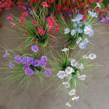 ��Y�÷��滨�b�c�ٻ���Y�������l3D��ӡ�ջ�