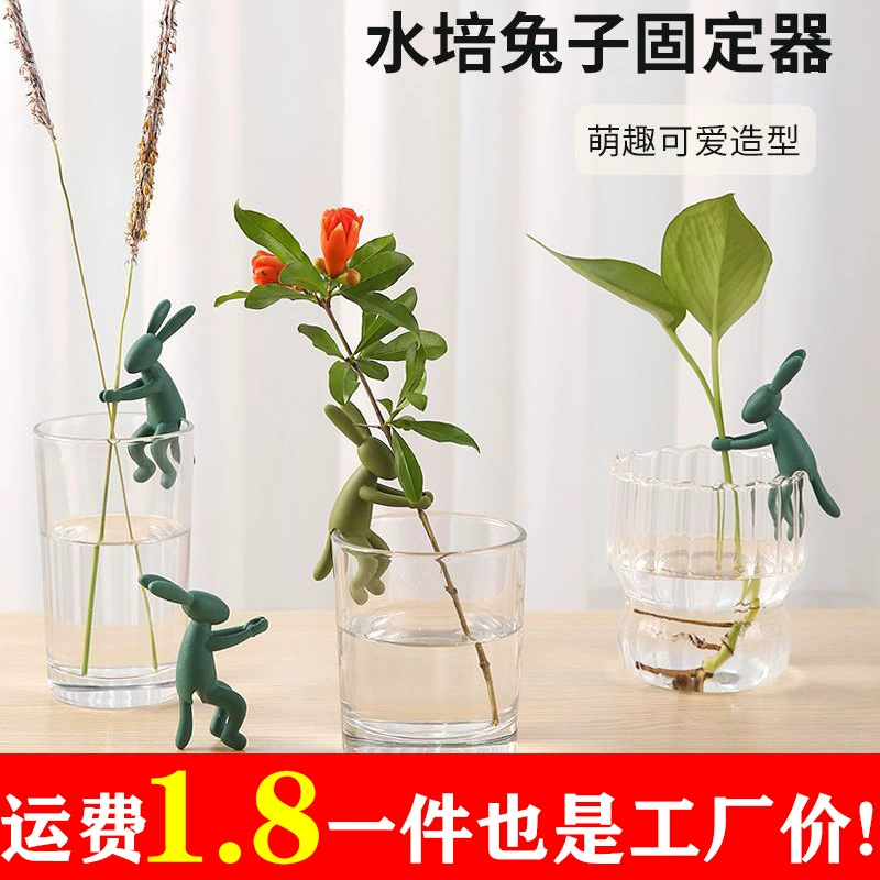 Гидропонная подставка для кроликов, компаньон для роста растений, стеклянная ваза с широким горлом, гидропонная подставка для растений, подставка для цветов