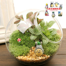 ̦�\���Bƿ�����k����С��������ֲ�ﲣ���辰diy�Gֲ
