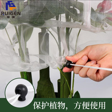 �羳����60Ŀ������x�W����朿���K��ֲ����x���߲˷��x�W��