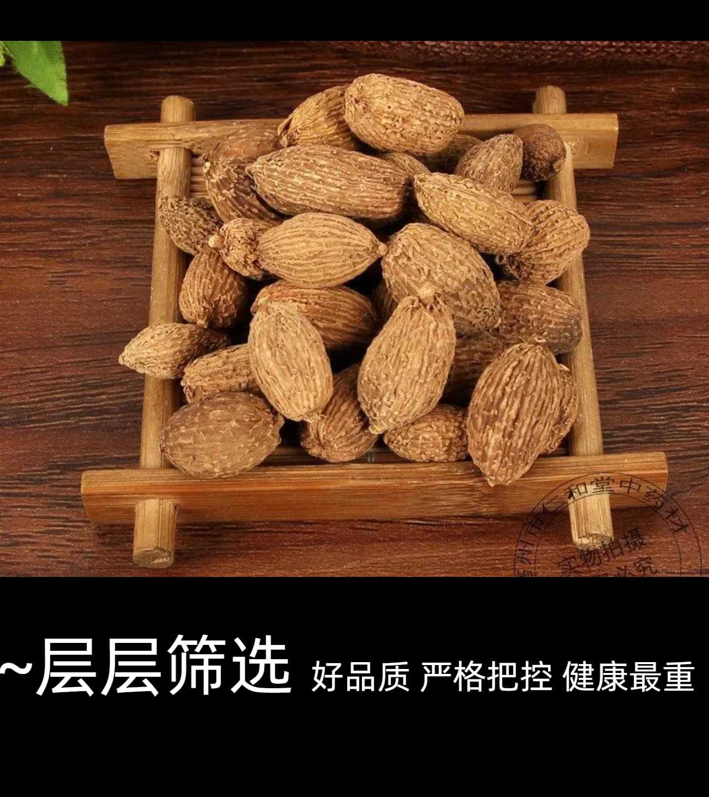 Dried Amomum Fruit Sha Ren 砂仁 Whole Pods 500g Bulk New Harvest Yunnan Guangxi Culinary TCM Herb specifications