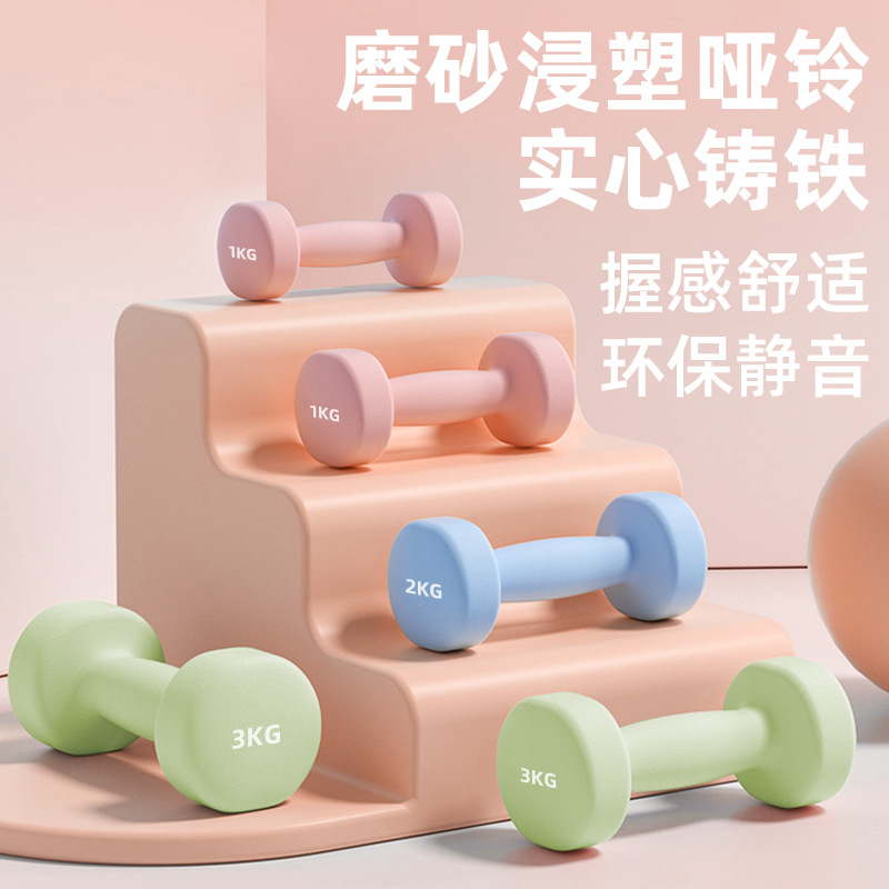 Mily Plastic-Dipped Dumbbell Barbell Women's Fitness Home Equipment 5kg Pair of 2kg Small Dumbbell Pot Solid Cast Iron