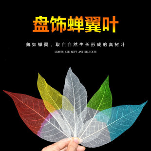 Wholesale Japanese Sushi Decoration Leaf Sashimi Platter Decoration Green Leaf Cooking Glue Leaf-Shaped Three-Shirt