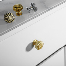 S~ϹΠS~ψAοpݱWԙT