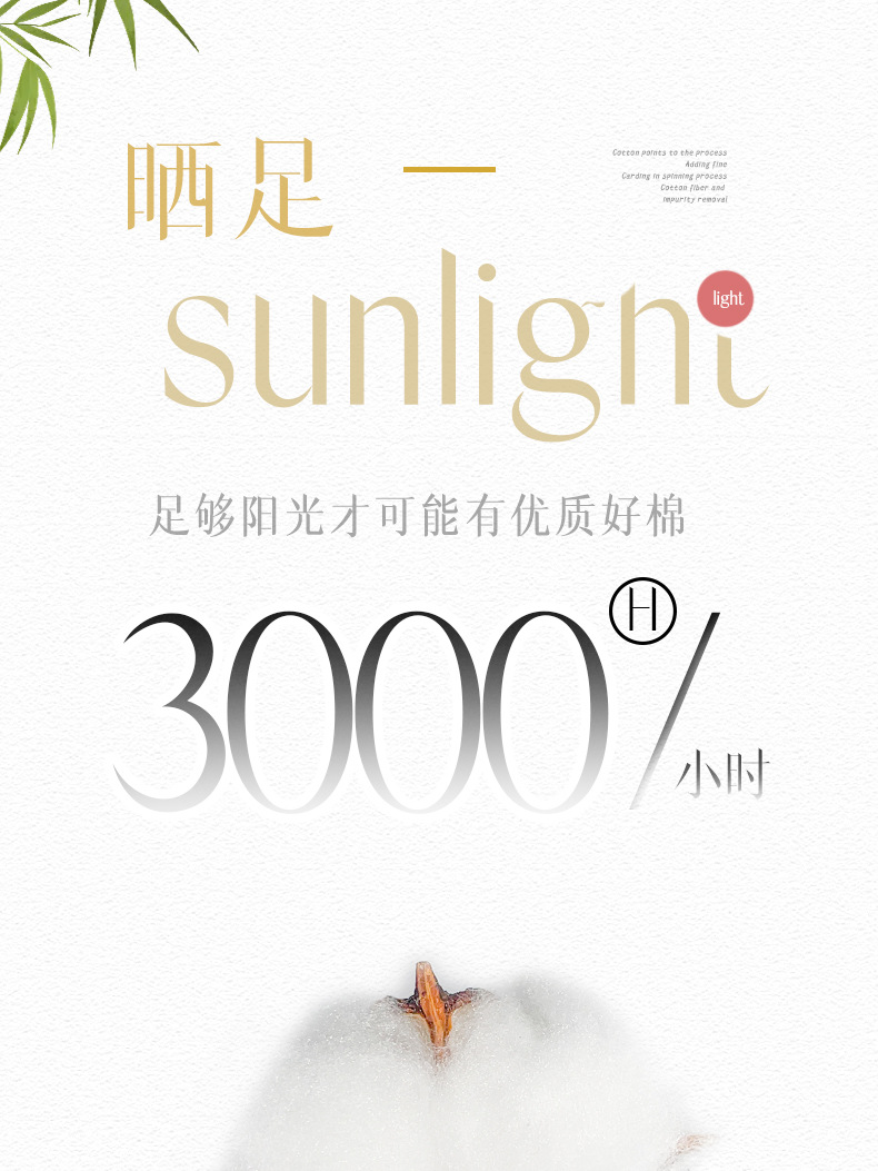 O1CN01WutkxR1etX1XgnVgF_!!3252793929-0-cib.jpg?__r__=1695612946503