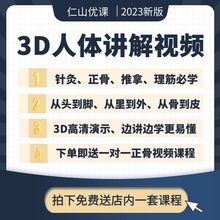 3d结构骨骼全集3D动态人体视频教程自学演示中医讲解动画课程人体