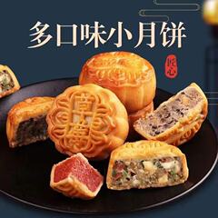 迷你小月饼广式多口味伍仁黑芝麻水果馅中秋节老式传统糕点独立装