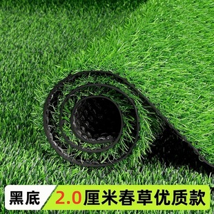 Simulated Lawn Green Carpet Artificial Artificial Plastic Outdoor Fake Turf Floor Mat Kindergarten Construction Site Fence
