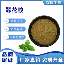 鞣花酸40% 柔花酸 五倍子提取物 五倍子粉 多规格供应