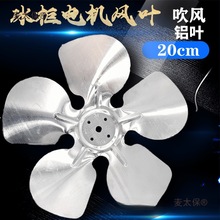 ��������L�~����/�X���~���L/���L/늙C�L�~�̶�����/�Ƭ��̫��