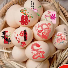 ϲ���N�u���N���bY��ӆ��[̨���ô�ȫ��ʽ��YŮ�����ϲ���N