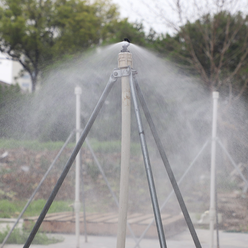 Rose Light Fog no incluye impuestos