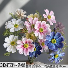 ����3�^��ɣ������ʽ��c3d����3�^��˹�ռҾӔ[���Ĕz���߻�ˇ