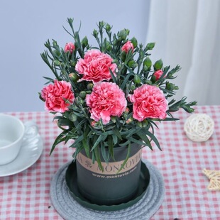 �r�����Կ���ܰ�ļ��_��ʯ���玧�����҃��̨ͥԺ���ܺ��B�׻�